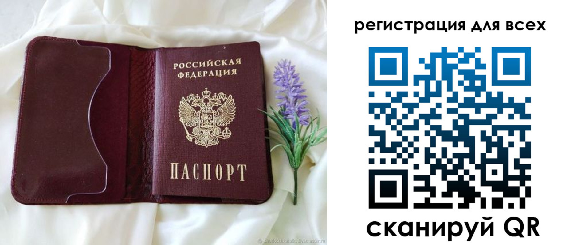 прописка 2025 в Вяземском
